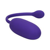Rechargeable Kegel Ball Starter